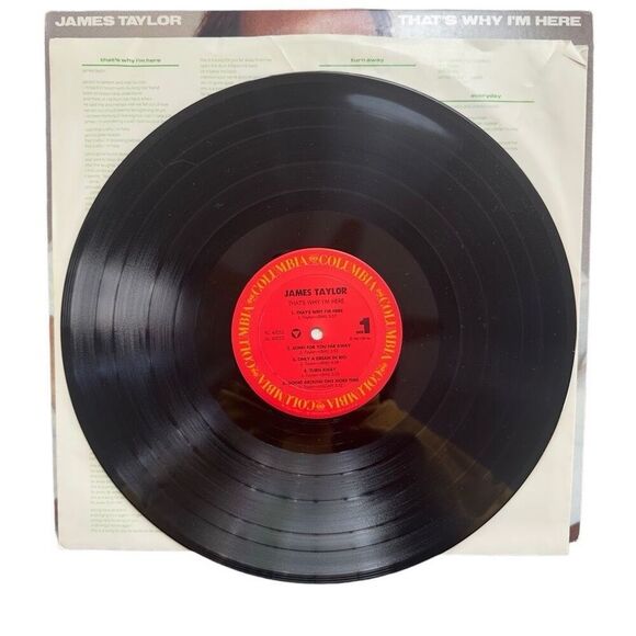 James Taylor - That’s Why I’m Here Vinyl LP, Very Good Condition - Picture 6 of 6